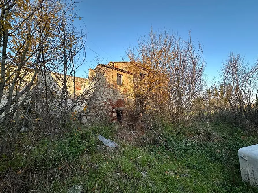 Immagine 2 di Rustico / casale in vendita  a Cascina