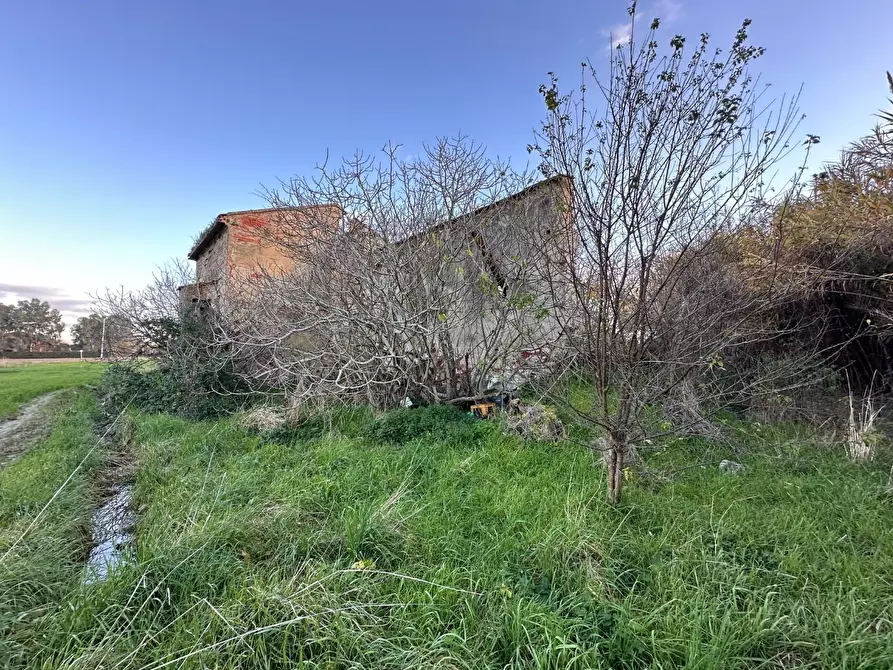 Immagine 10 di Rustico / casale in vendita  a Cascina