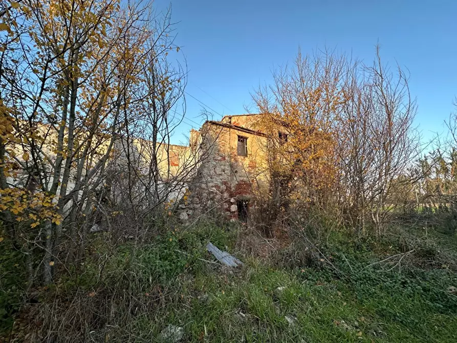 Immagine 4 di Rustico / casale in vendita  a Cascina