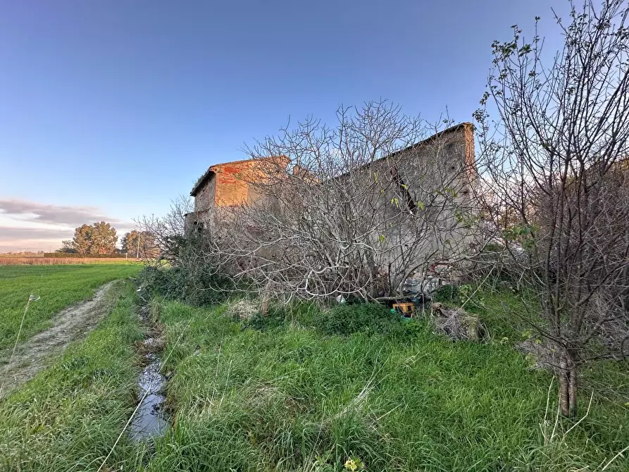 Immagine 5 di Rustico / casale in vendita  a Cascina