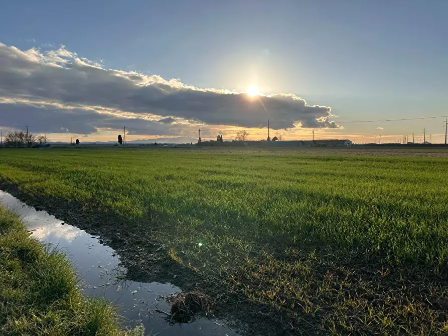 Immagine 22 di Rustico / casale in vendita  a Cascina