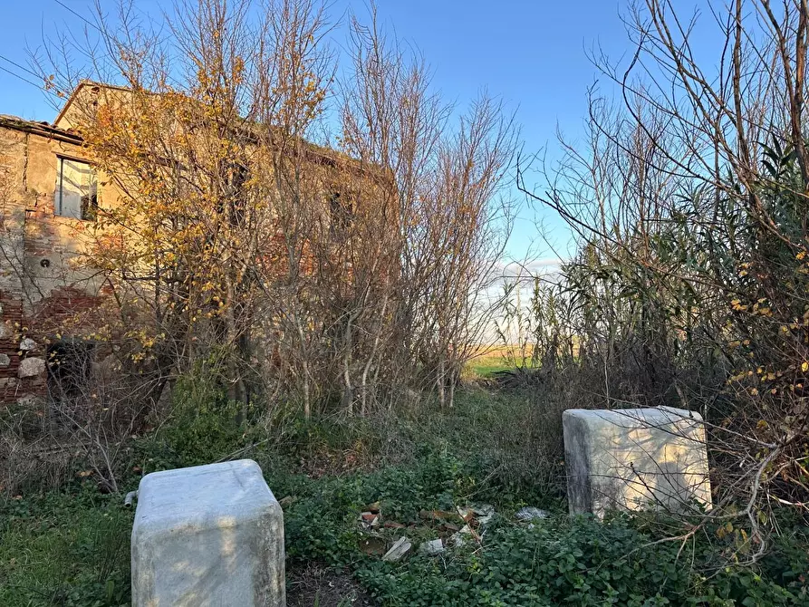 Immagine 3 di Rustico / casale in vendita  a Cascina