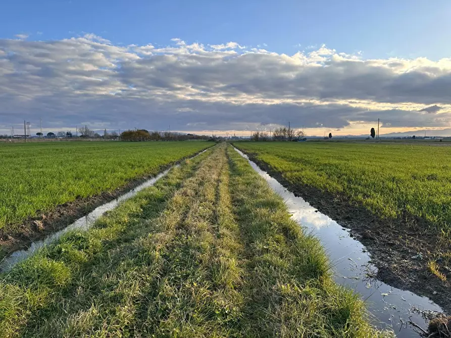 Immagine 23 di Rustico / casale in vendita  a Cascina