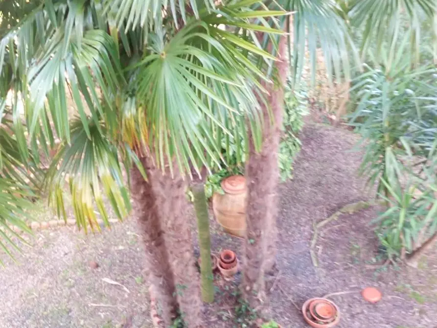 Immagine 24 di Appartamento in vendita  a Casciana Terme Lari