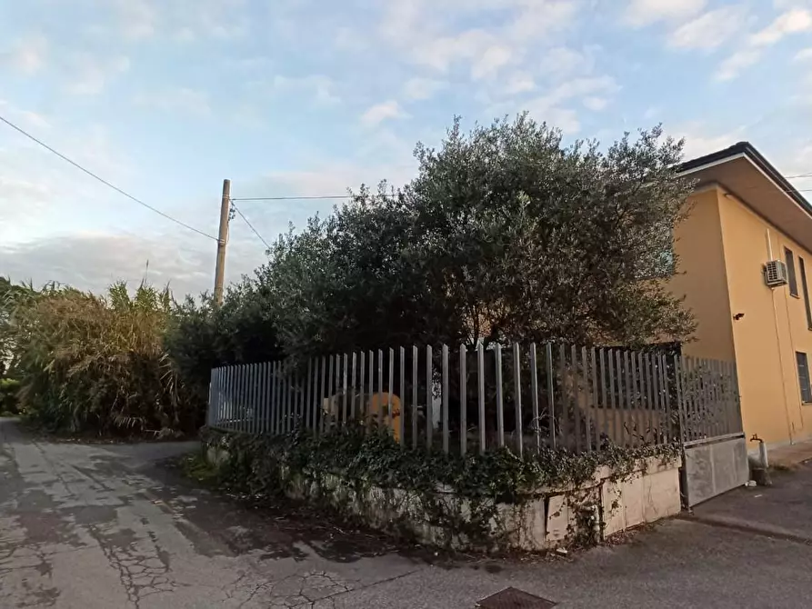 Immagine 8 di Attività artigianale in vendita  a Lucca