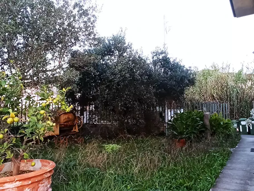 Immagine 18 di Attività artigianale in vendita  a Lucca