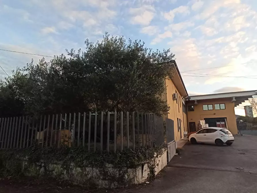 Immagine 15 di Attività artigianale in vendita  a Lucca