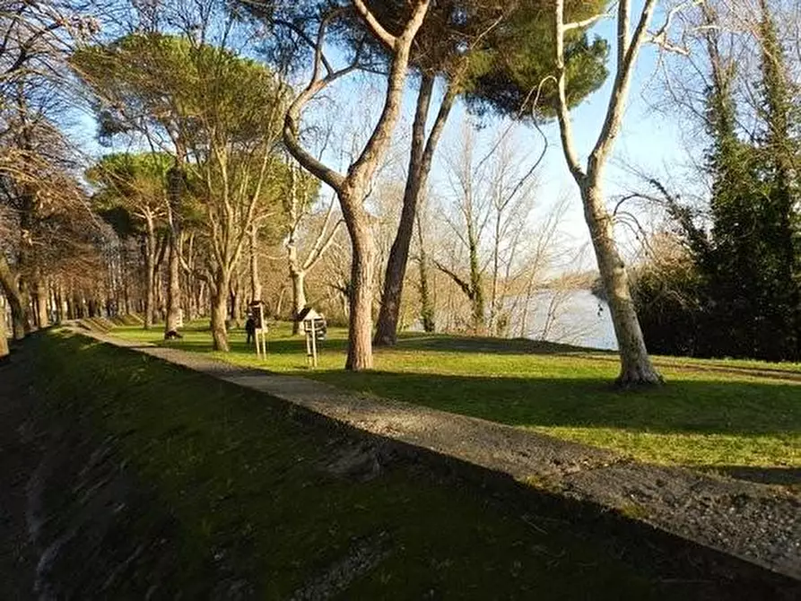 Immagine 1 di Appartamento in vendita  a Pisa