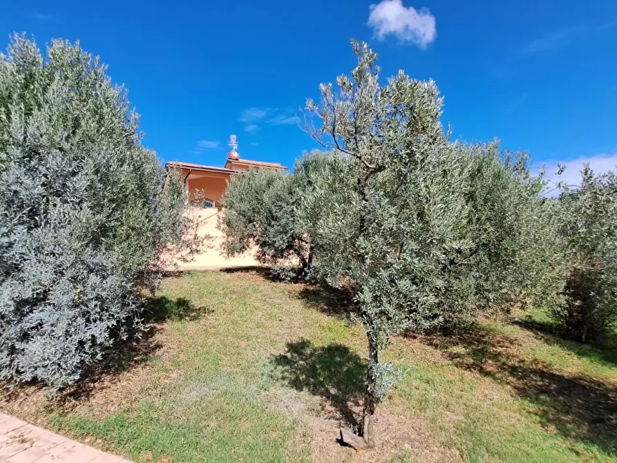 Immagine 33 di Villa in vendita  a Rosignano Marittimo