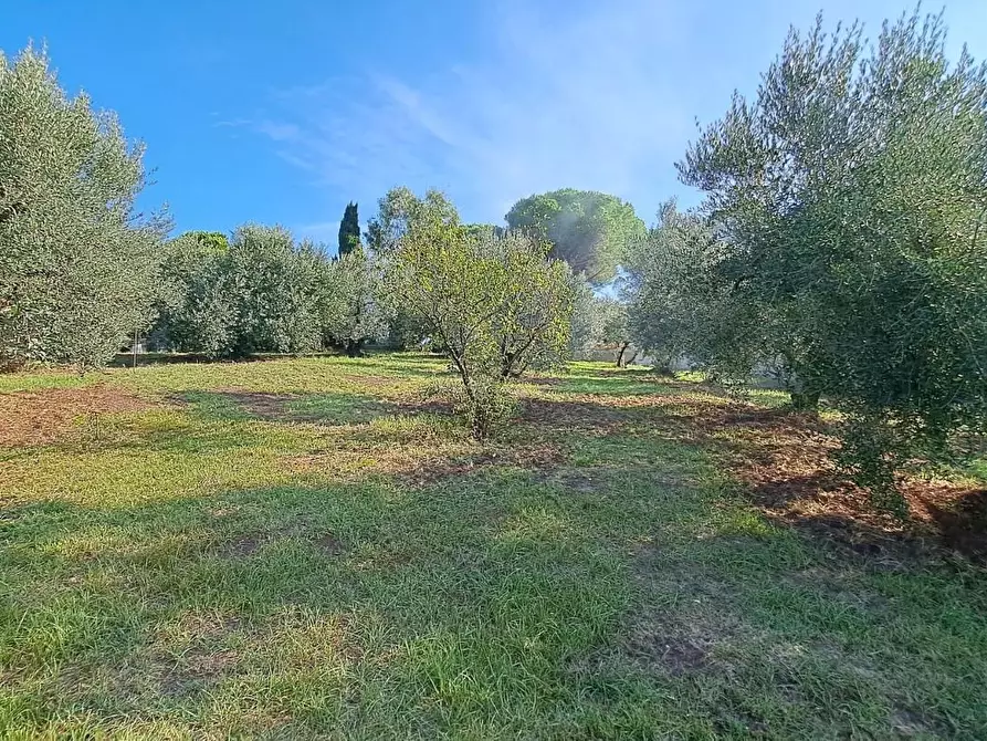 Immagine 37 di Villa in vendita  a Rosignano Marittimo