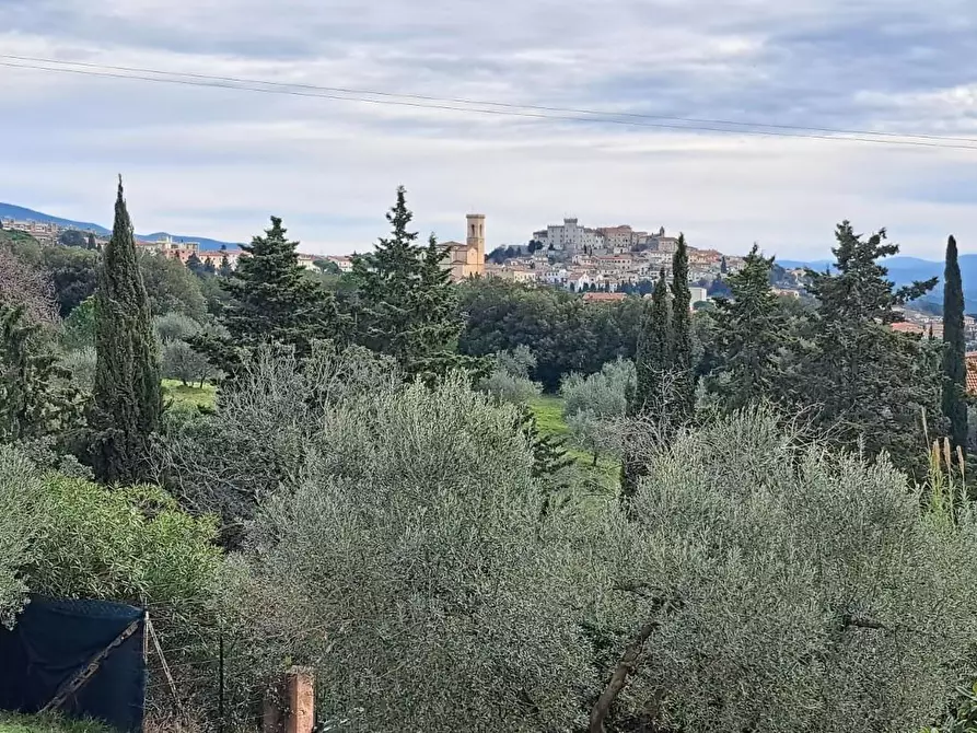 Immagine 38 di Villa in vendita  a Rosignano Marittimo