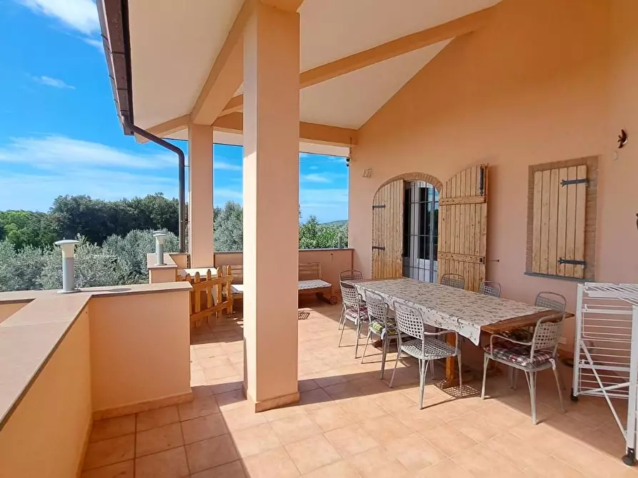 Immagine 6 di Villa in vendita  a Rosignano Marittimo