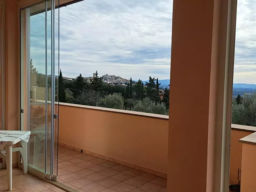 Immagine 7 di Villa in vendita  a Rosignano Marittimo