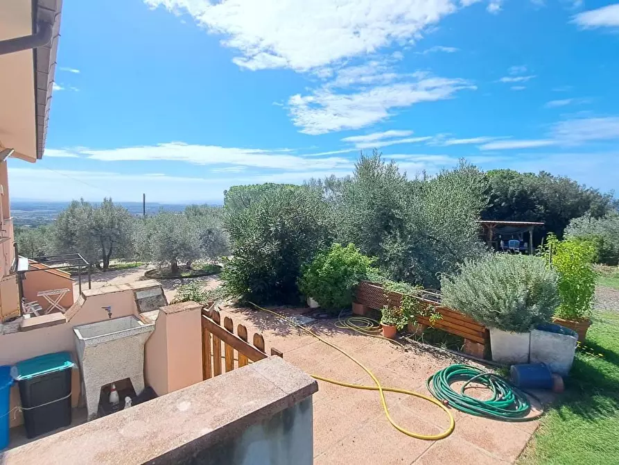 Immagine 34 di Villa in vendita  a Rosignano Marittimo