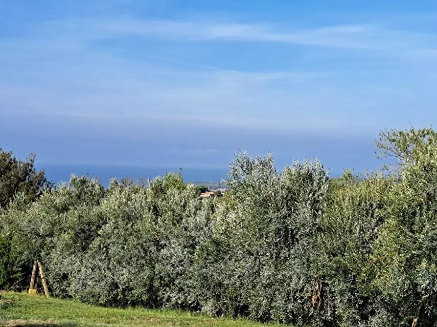 Immagine 39 di Villa in vendita  a Rosignano Marittimo