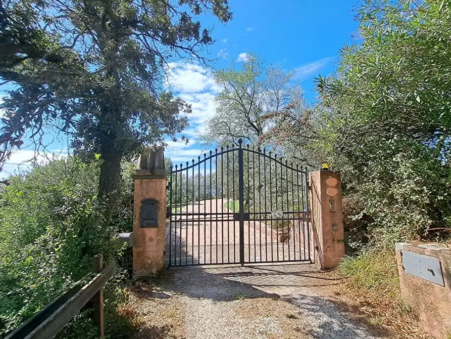 Immagine 40 di Villa in vendita  a Rosignano Marittimo