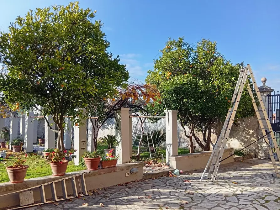 Immagine 3 di Villa in vendita  a San Giuliano Terme