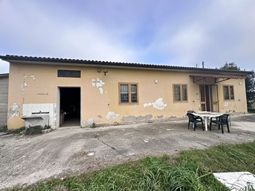 Immagine 32 di Villa in vendita  a Cascina