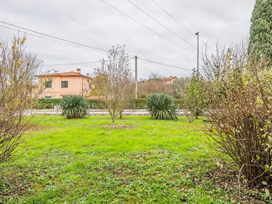 Immagine 51 di Villa in vendita  a Calcinaia