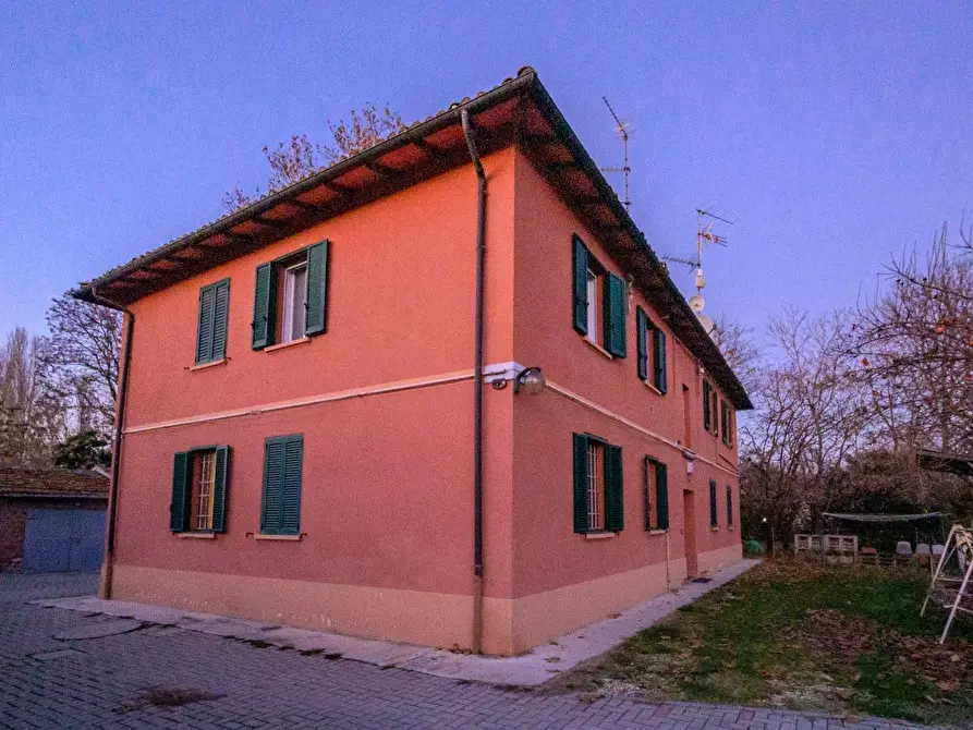 Immagine 35 di Appartamento in vendita  a Medicina