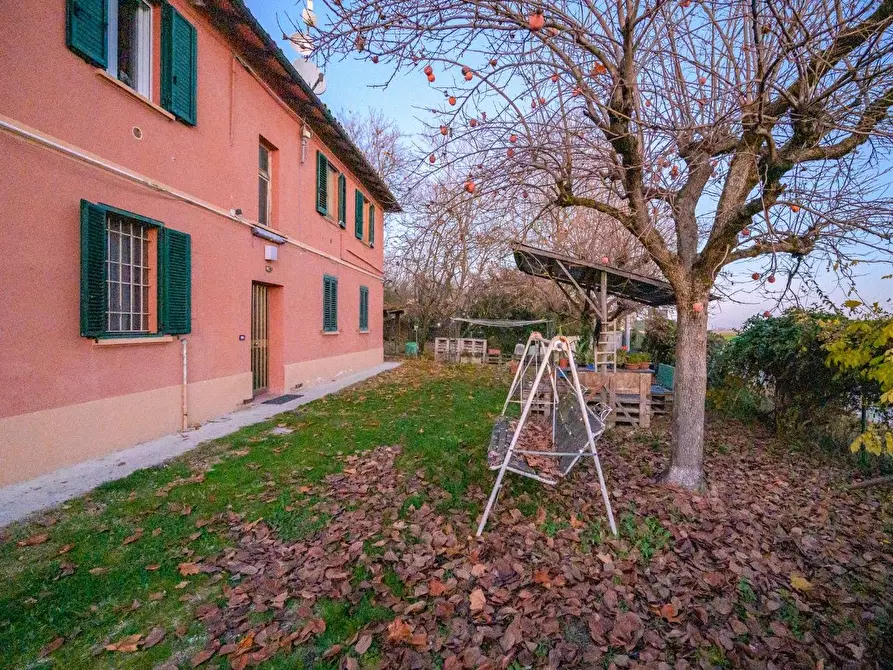 Immagine 37 di Appartamento in vendita  a Medicina