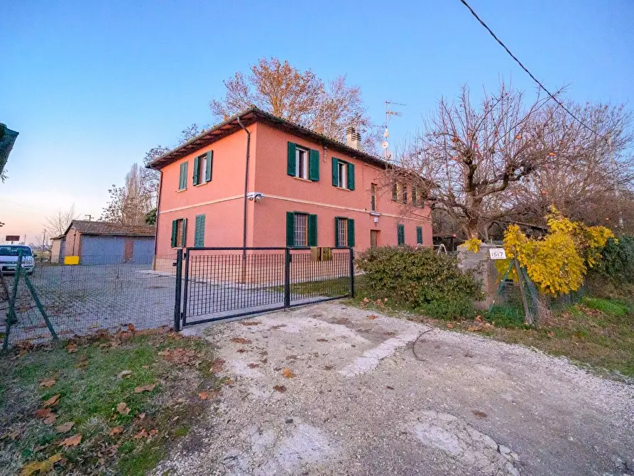 Immagine 36 di Appartamento in vendita  a Medicina