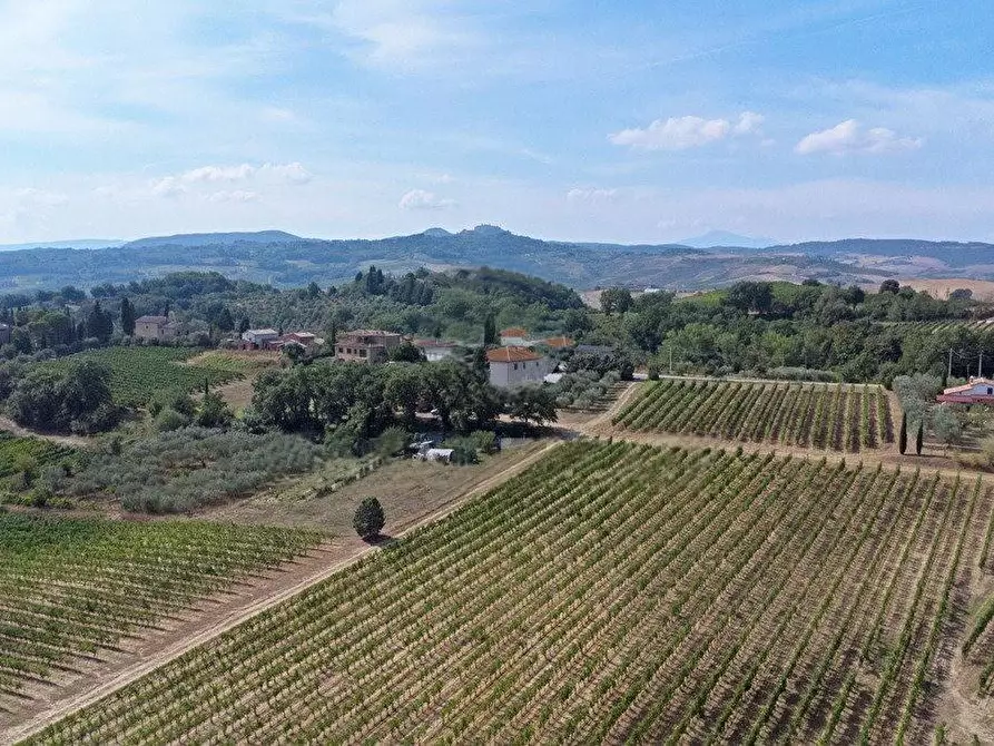 Immagine 20 di Casa colonica in vendita  a Montepulciano