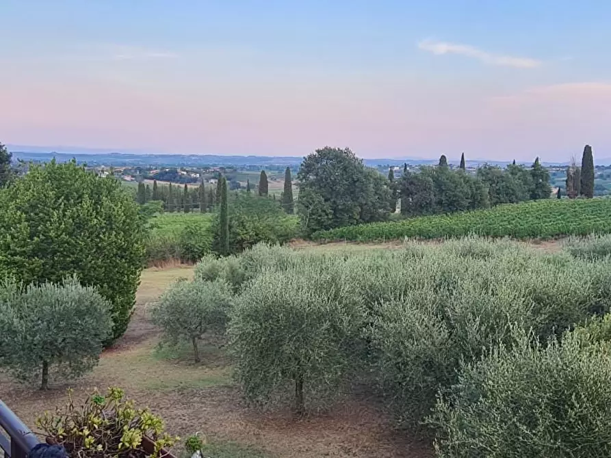Immagine 3 di Casa colonica in vendita  a Montepulciano