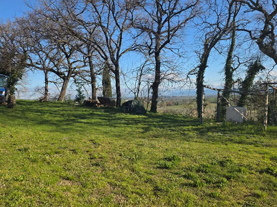 Immagine 4 di Casa colonica in vendita  a Montepulciano