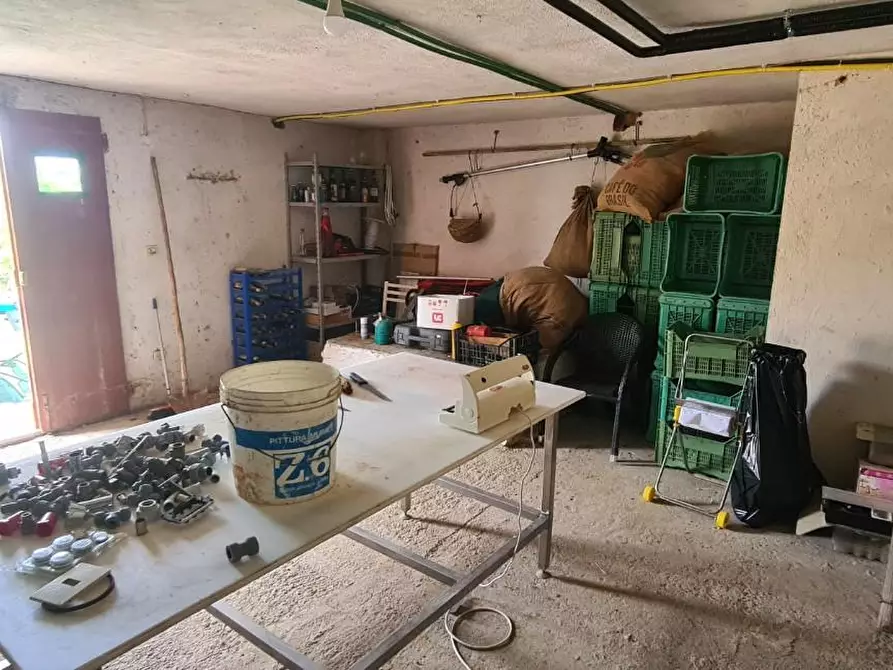 Immagine 7 di Casa colonica in vendita  a Montepulciano
