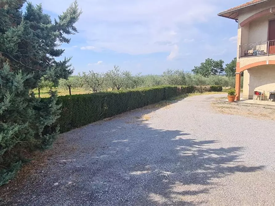 Immagine 2 di Casa colonica in vendita  a Montepulciano
