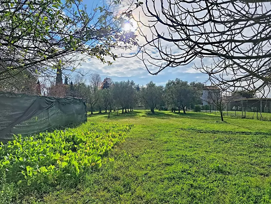 Immagine 10 di Villa in vendita  a San Giuliano Terme