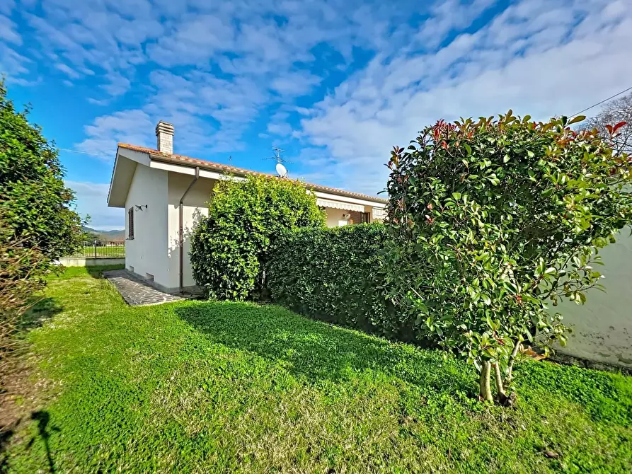 Immagine 17 di Villa in vendita  a San Giuliano Terme