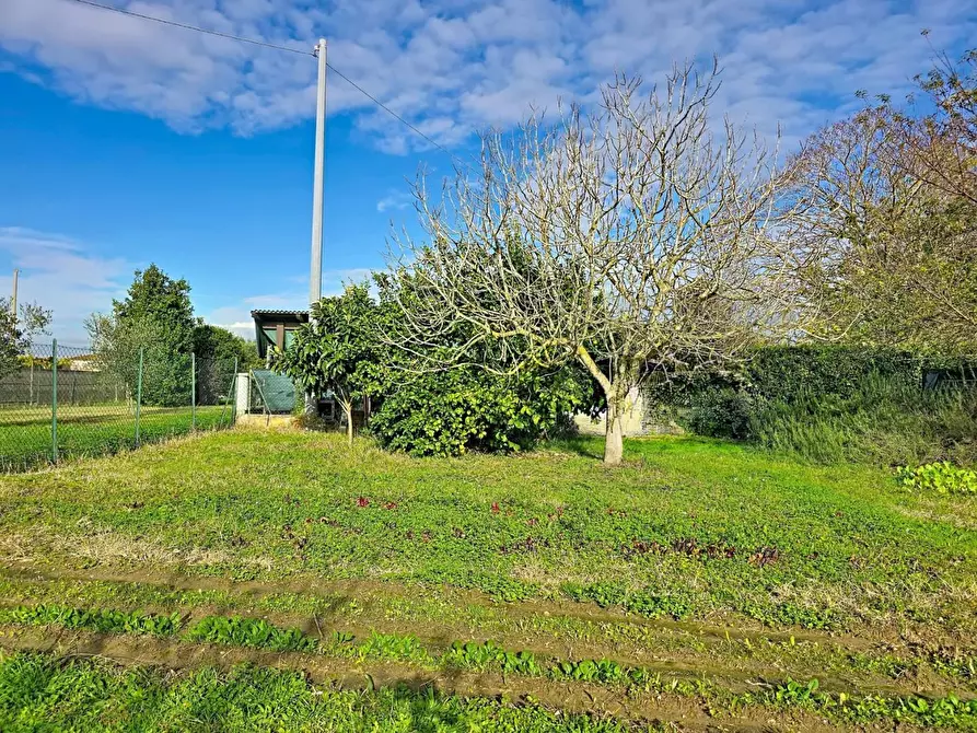 Immagine 31 di Villa in vendita  a San Giuliano Terme