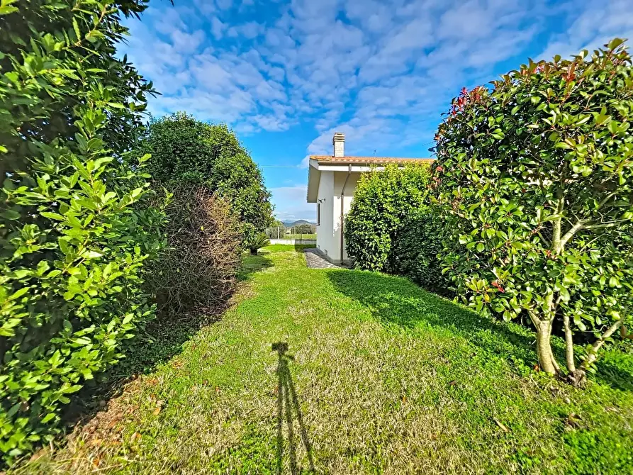 Immagine 15 di Villa in vendita  a San Giuliano Terme