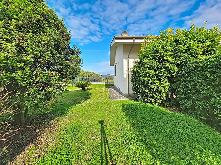 Immagine 16 di Villa in vendita  a San Giuliano Terme