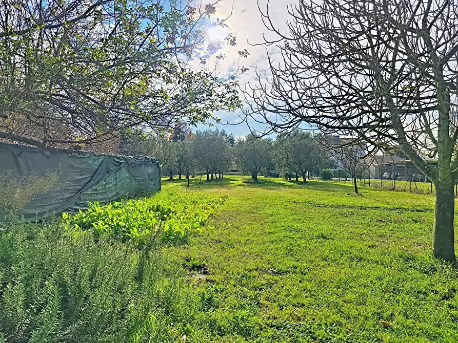 Immagine 8 di Villa in vendita  a San Giuliano Terme