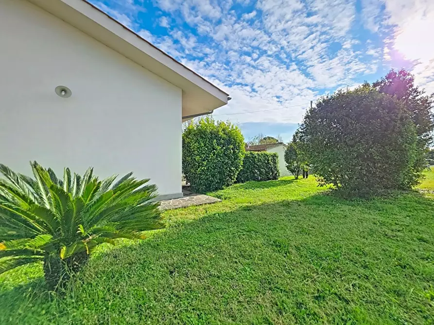 Immagine 4 di Villa in vendita  a San Giuliano Terme