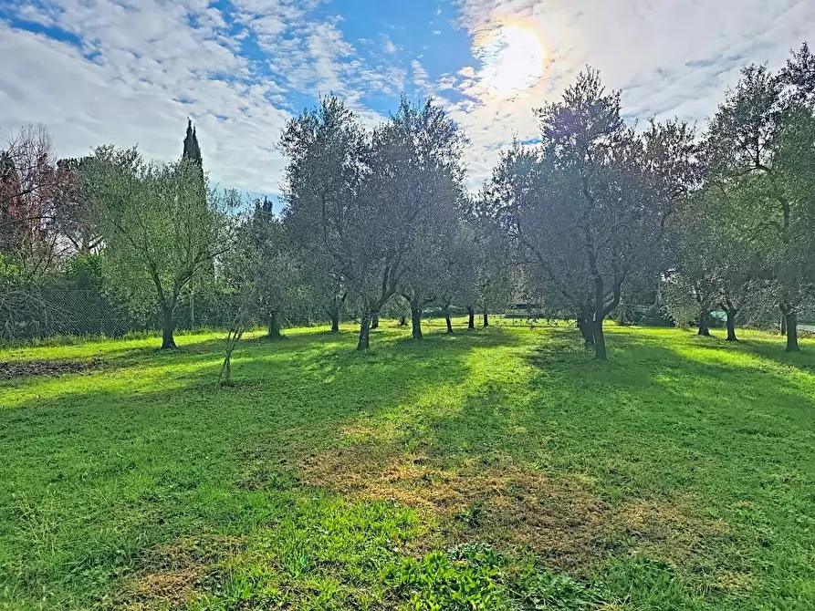 Immagine 11 di Villa in vendita  a San Giuliano Terme