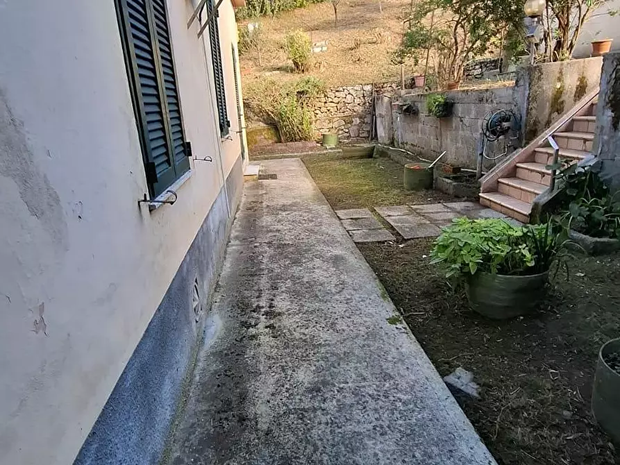 Immagine 8 di Casa indipendente in vendita  a Collesalvetti
