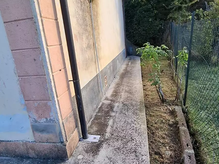 Immagine 9 di Casa indipendente in vendita  a Collesalvetti