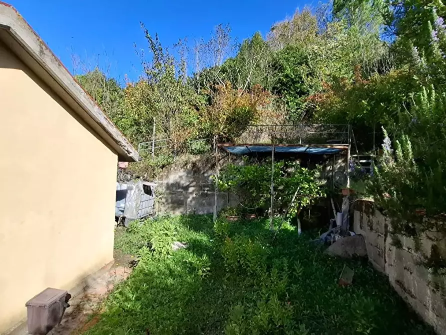 Immagine 5 di Casa indipendente in vendita  a Collesalvetti