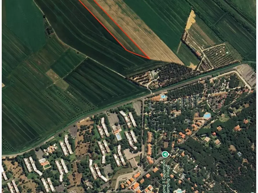 Immagine 2 di Terreno agricolo in vendita  a Bibbona