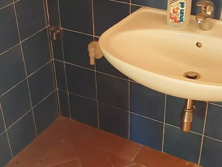 Immagine 8 di Rustico / casale in affitto  a Vicopisano