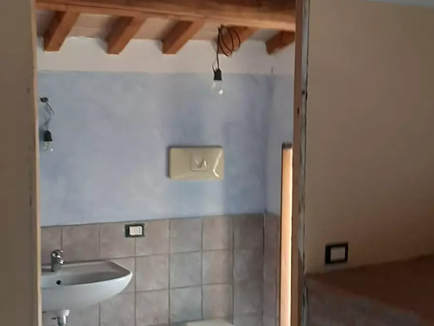 Immagine 18 di Rustico / casale in affitto  a Vicopisano