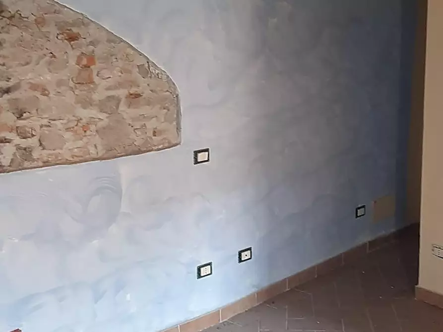 Immagine 17 di Rustico / casale in affitto  a Vicopisano