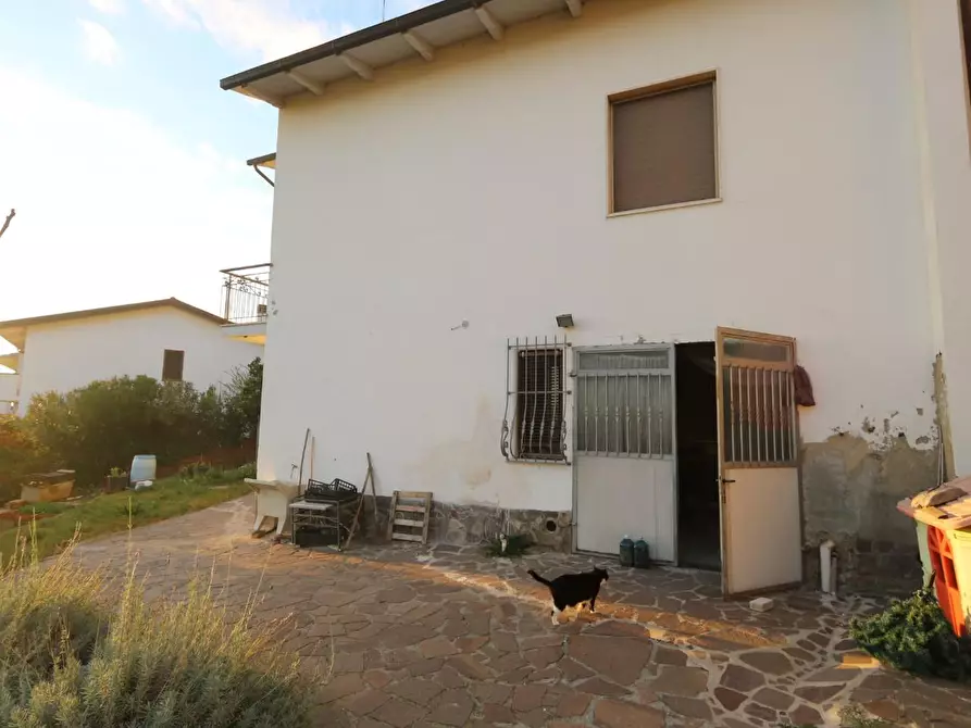 Immagine 13 di Casa bifamiliare in vendita  a Pontedera