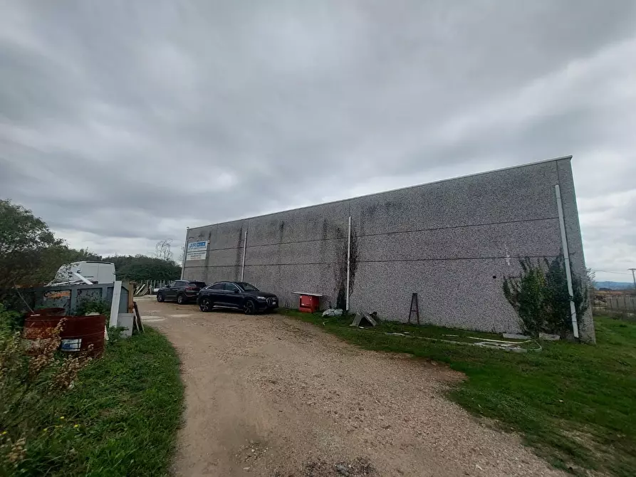 Immagine 13 di Attività artigianale in vendita  a Casciana Terme Lari