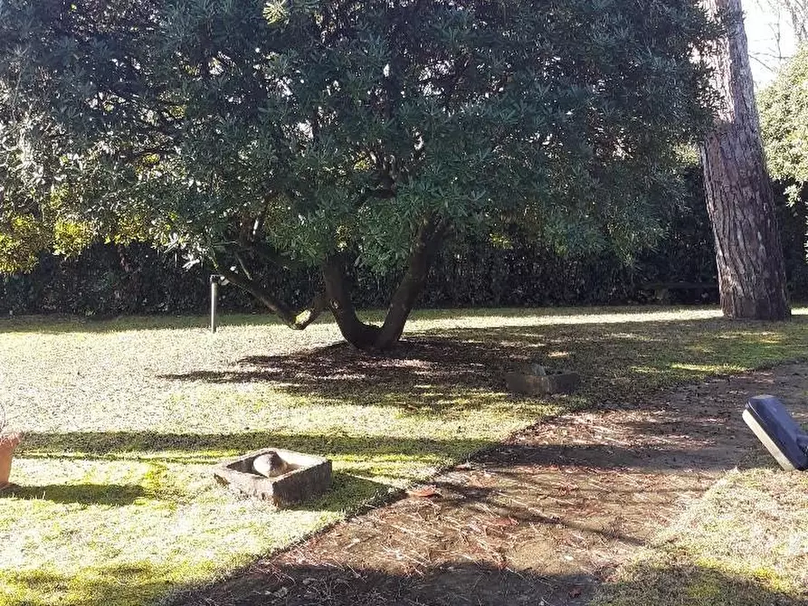 Immagine 5 di Casa semindipendente in vendita  a Massa