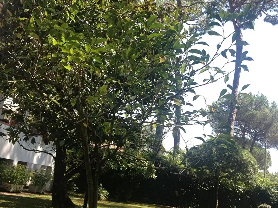 Immagine 29 di Casa semindipendente in vendita  a Massa